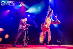 125-EroFest2024-fotovrzal.com_
