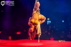 131-EroFest2024-fotovrzal.com_