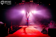 342-EroFest2024-fotovrzal.com_