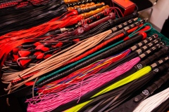 475-EroFest2024-fotovrzal.com_